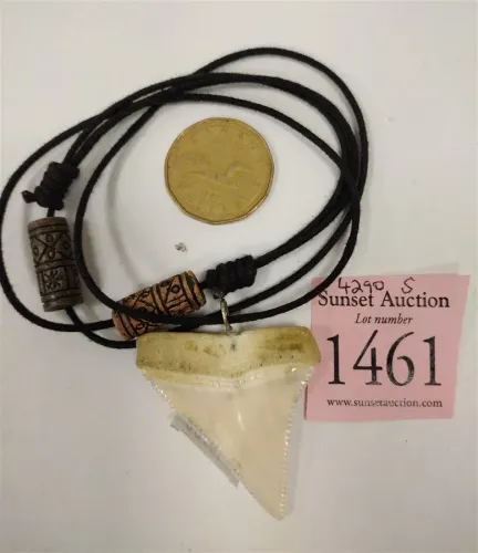 SHARK'S TOOTH NECKLACE AND CANADIAN 1988 DOLLAR