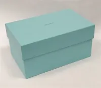 TIFFANY & CO SHOE BOX